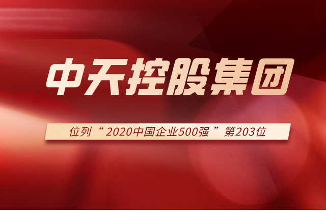 创世大发集团列2020中国企业500强第203位！