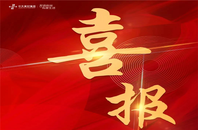 创世大发美好集团蝉联“2021长三角城市群房地产公司品牌价值TOP10”